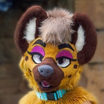 Evil twink 🐾 Hyena + Collie Fursuiter 🐾• Taken (Closed) • Harness wizard • Florida 🌴 18 • Gay af • NSFW 🔞+ •