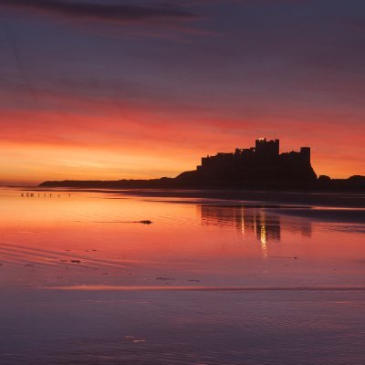 jiunlee1117's profile picture. 