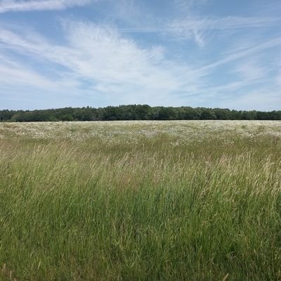 MP Watch Witney dedicated to political honesty about climate change – in particular, to making the voting patterns of our MP visible to his constituents.