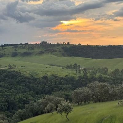 fandbigbang's profile picture. Memecoin website creator • Frontend (Next.js/TS/Tailwind) • I ship fast sites with A11Y + reliability.