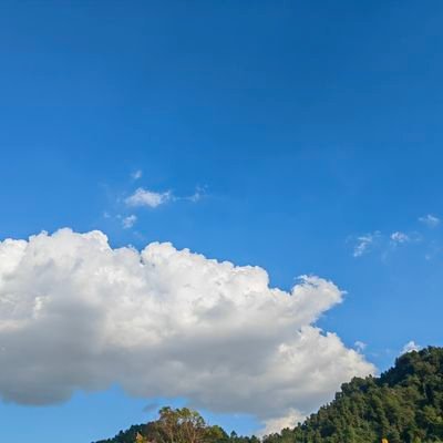 Juno79864135's profile picture. 