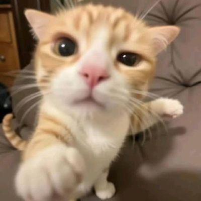 @taejinggle