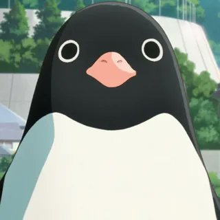 NatashaF12687's profile picture. 