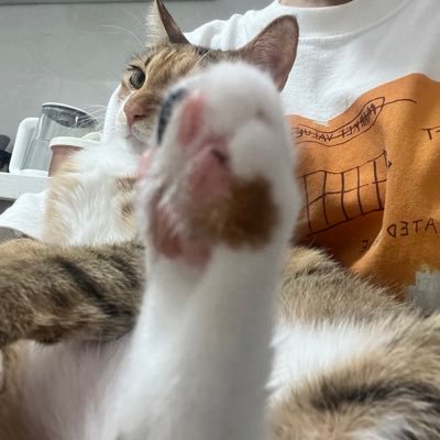 XueyingggLu's profile picture. 