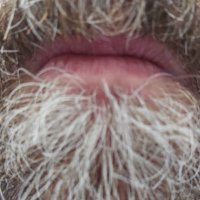 Willy_Watcher (@willy_watcher) 's Twitter Profile