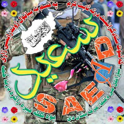 m_saead73072's profile picture. 