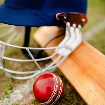 dailypost558's profile picture. cricket trading