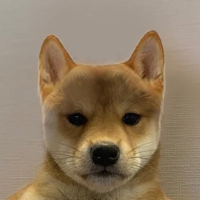 sizeysol's profile picture. 