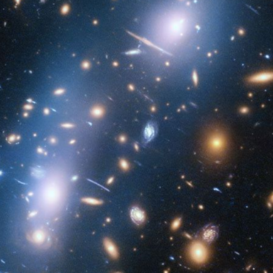 Agus_Z_X's profile picture. Independent Researcher & Analyst: Physicist, Biophysicist, and Specialist in Complex Systems.