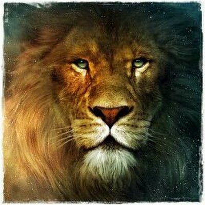 DBreznyik42876's profile picture. 