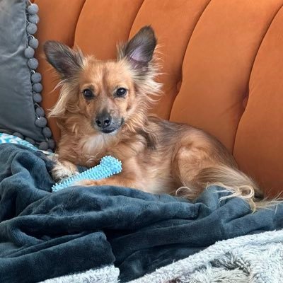 AliSophyK's profile picture. 