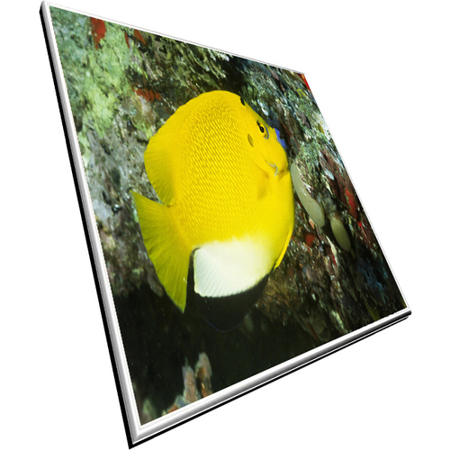 screenpanel5001's profile picture. Buy laptop led screen panel