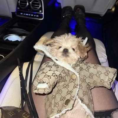 18muiii's profile picture. https://t.co/JAJHywHa93