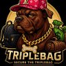 Triplebagx's profile picture. Digital Nomad👾| Enter. Ascend. Bag it 💰💥