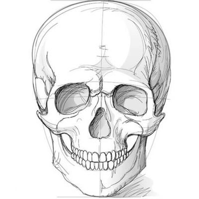 mrwintski's profile picture. 