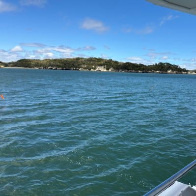 Yokko412shumi's profile picture. 