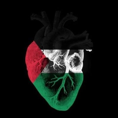MedRh86's profile picture. سأبقى على يقين بأن ما أحلم به سيأتي يوماً