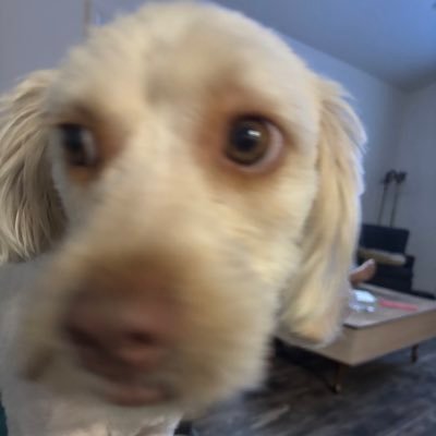 EffJenny's profile picture. 