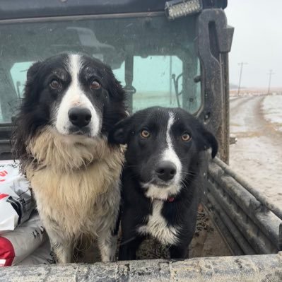 Cow calf farmer and Engineer. Proud dad to two amazing kids. Married to an awesome gal who puts up with me.