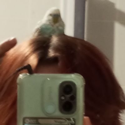 SleepyBlob_'s profile picture. 🏳️‍⚧️|they/he, little guy that does things ▴ 🇨🇵 ▴ multifandom ▴
old men enjoyer ▴ alan wake n°1 fan ▴ literally wylan van eck