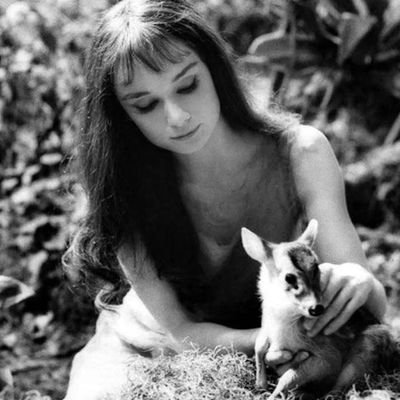 cherrydollies's profile picture. 𝓓𝐨𝐥𝐥𝐞𝐭 𝓓𝐢𝐚𝐫𝐲
                        
                                                            in my gapyear era 🍎🧸⭐️🕰