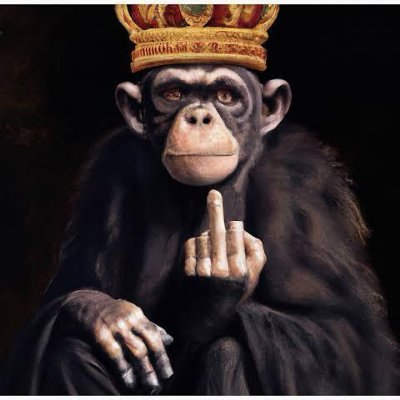 SimaSahara's profile picture. Designing the future of decentralized orgs. 🏗️