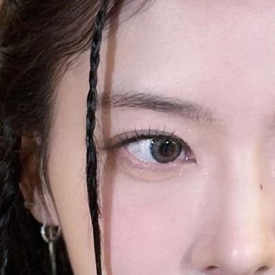 pawtitee's profile picture. flushed petal: (#studytwt; not really). allure phrases rosewood soul-destroying 🪷