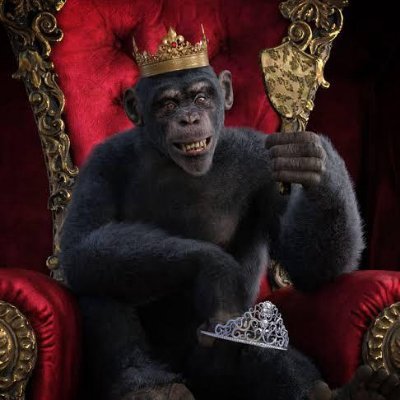 PixelDegennx's profile picture. JPEGs and gas fees. That’s life. 🧷🖼️