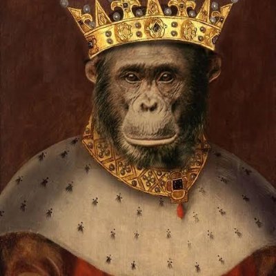 CryptoNomama's profile picture. Asian food & alpha recipes. 🍜📈