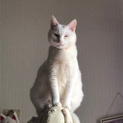 めのしExさんのプロフィール画像