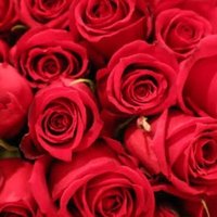 👻さたん❕ (@sa_jump_rk) 's Twitter Profile Photo