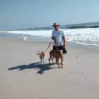 Boiling Point 🇺🇸🏴‍☠️ (@defiant2261) 's Twitter Profile