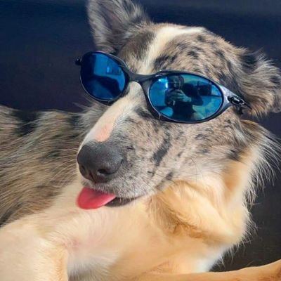 vampmilgrau's profile picture. minha mãe me acha linda