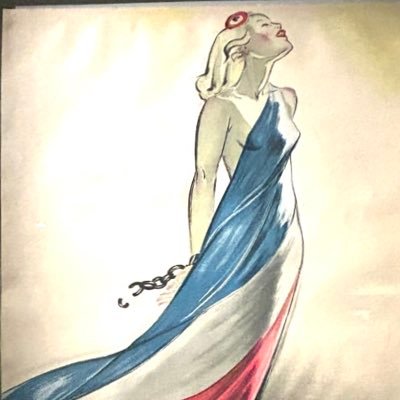 MariAnne2Gaule's profile picture. Française et fière de l’être #Irresponsable #InjectoÉveillée 🥕 #Résistante ✊ #Reconquete 🌿#Marion ♥️ #JeVoteUnionDesDroites 🇫🇷