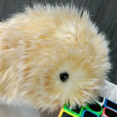 カシオのAIペット moflin(モフリン) シルバー Moflin (モフリン) - 公式ストア | CASIO