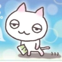 啵 (@boboboisme) 's Twitter Profile Photo