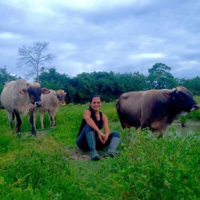 Productor Agropecuario🐮 ciclista de montaña 🚴🏼♀️Caraqueña, Criadora de la Raza Carora y sus mestizos. 🐷🐮🐶🐎🚜🇻🇪IG:@finca_mi_remanso