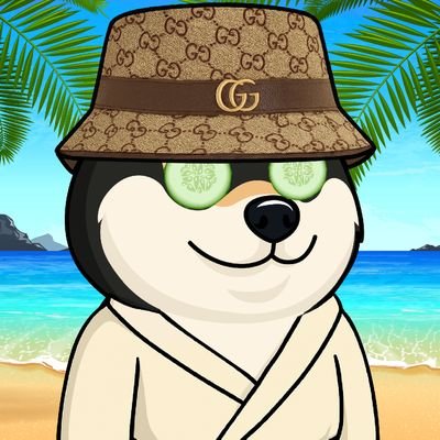 shizzxc19's profile picture. 19
