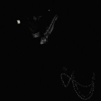 King David (@kingdavid81098) 's Twitter Profile