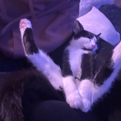 Freelance Designer, cat mom, (micro)Youtuber, Fantasy Book nerd, Brown Ajah