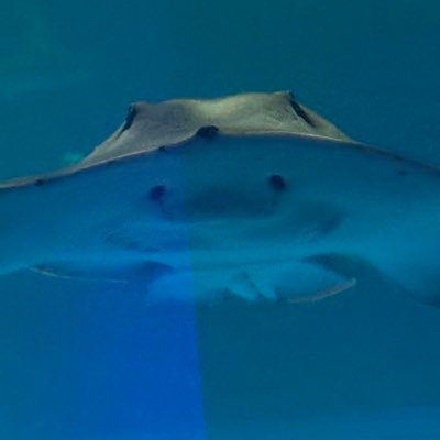 ユキさんのプロフィール画像