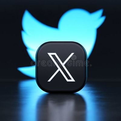 MedinaOmda75361's profile picture. 