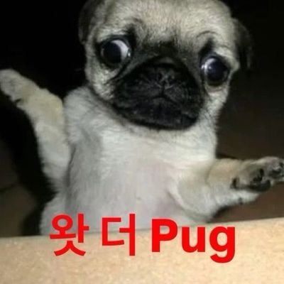 Haaaaaaye_n's profile picture. ereeeeeeeeeee