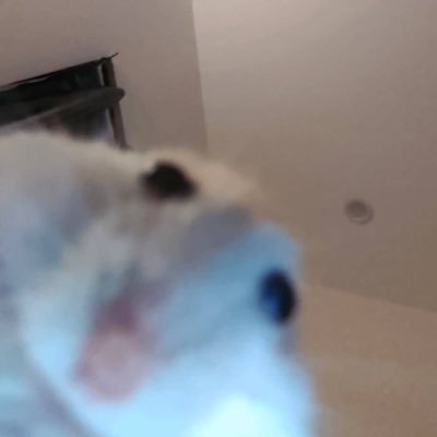 Loraxさんのプロフィール画像