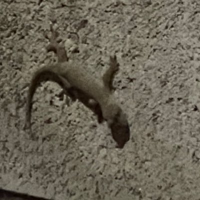 とさんのプロフィール画像