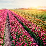 khanh41792's profile picture. 