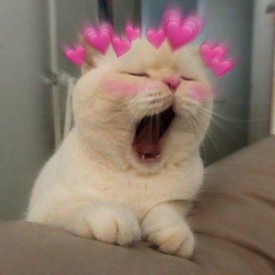 Gukuguy's profile picture. 25 Years old ✨