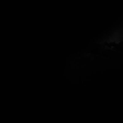 wise_and_weird's profile picture.