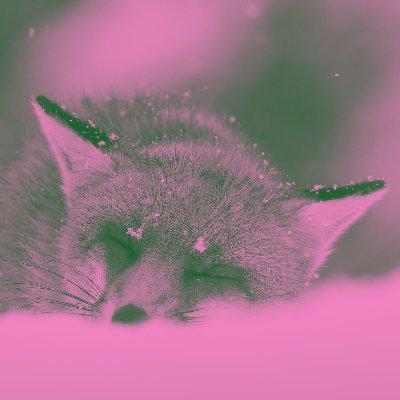 yhnwmsklbn's profile picture. very very sensitive person