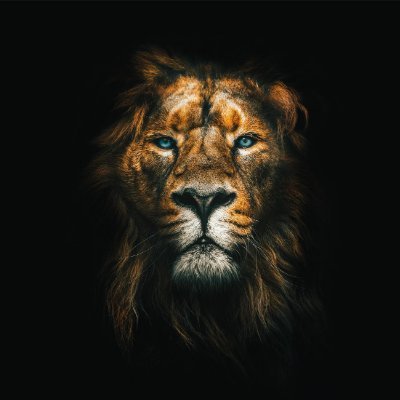 RATOLOTRINIAIN3's profile picture. 